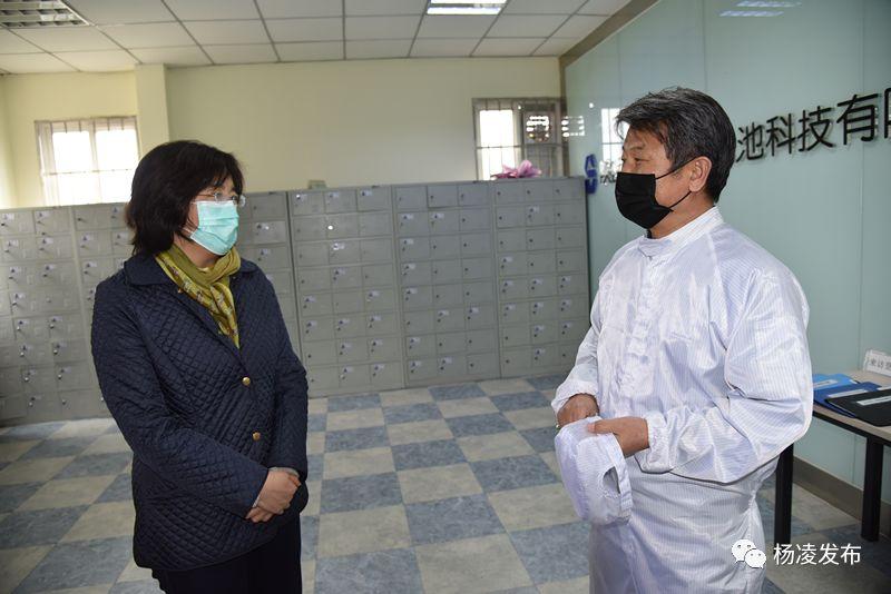 易放难收猜一生肖，落实相信的解释