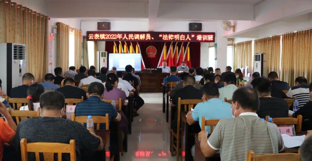 棕熊代表什么生肖，全面解析与落实