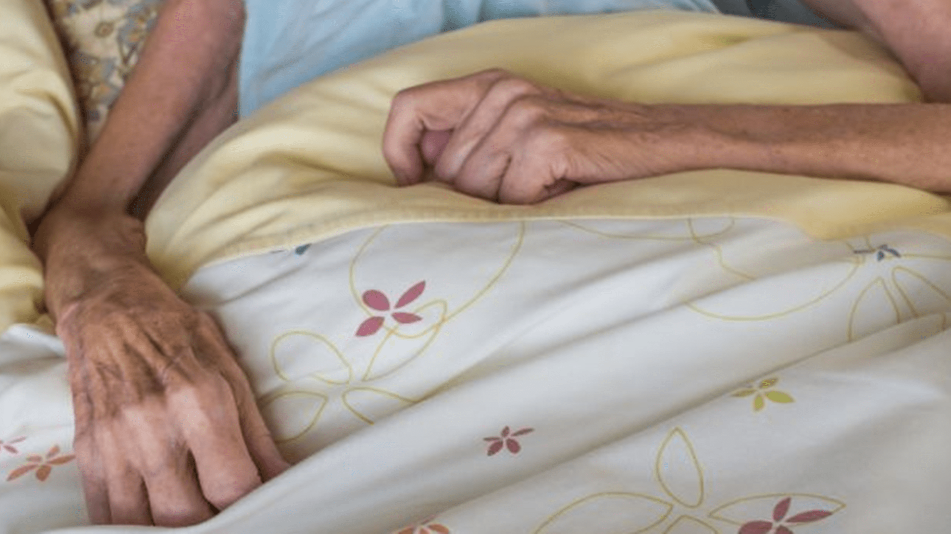 骨瘦如柴代表打一正确生肖，全面揭晓解释落实