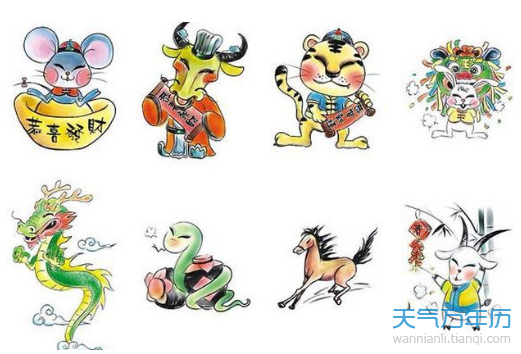 十二生肖最实际是指什么生肖，理想作答落实解释