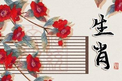 身不由己打一正确生肖?的不安分之选