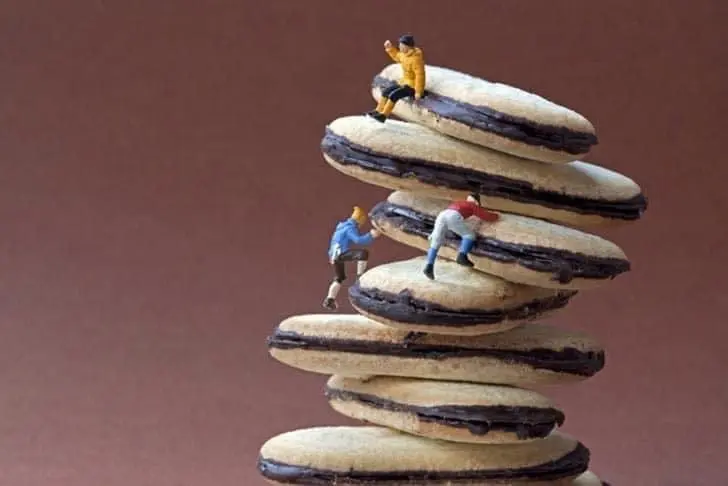 满脸生花猜一动物,谜底揭晓,趣味横生 满脸生花猜一动物,谜底揭晓,趣味横生