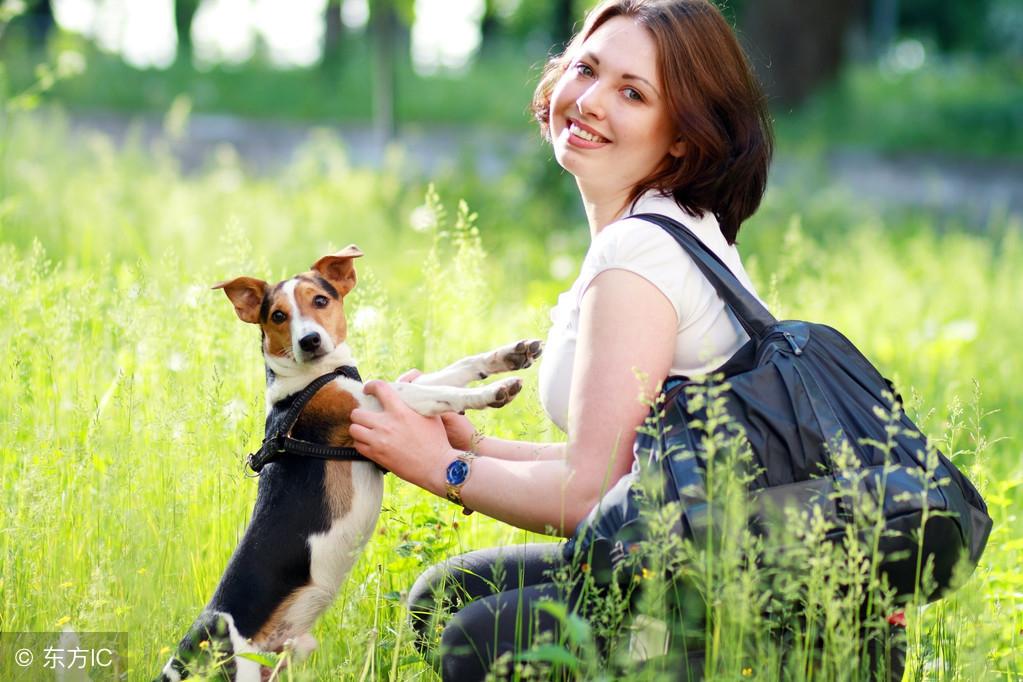 游手好闲是什么生肖,激励作答落实解释 游手好闲是什么生肖,激励作答落实解释