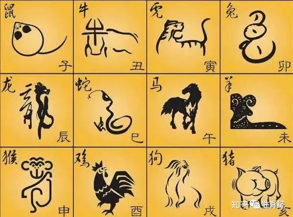 神秘生肖，探寻神经兮兮的背后