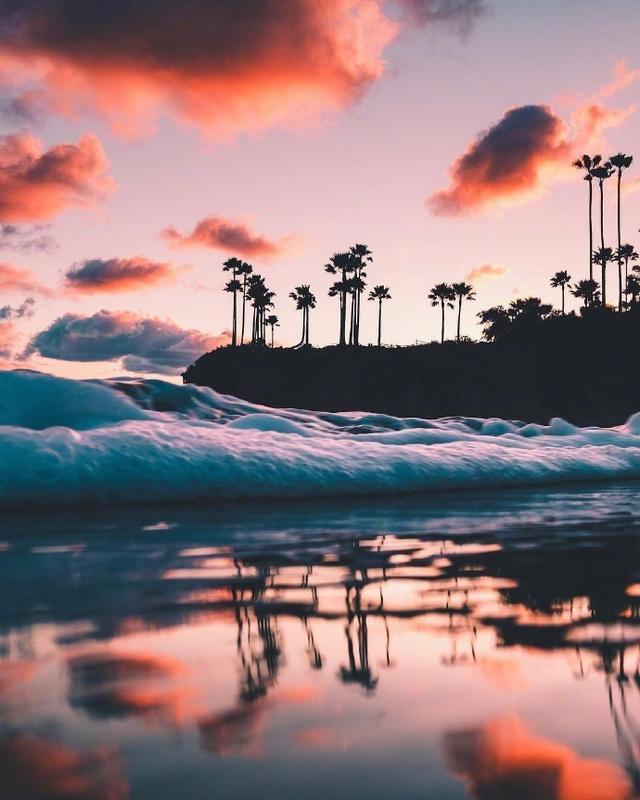 权衡利弊猜一动物，背后的智慧与哲理