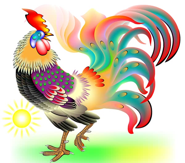 十二生肖之鸡,非凡的寓意与文化落实 十二生肖之鸡,非凡的寓意与文化落实