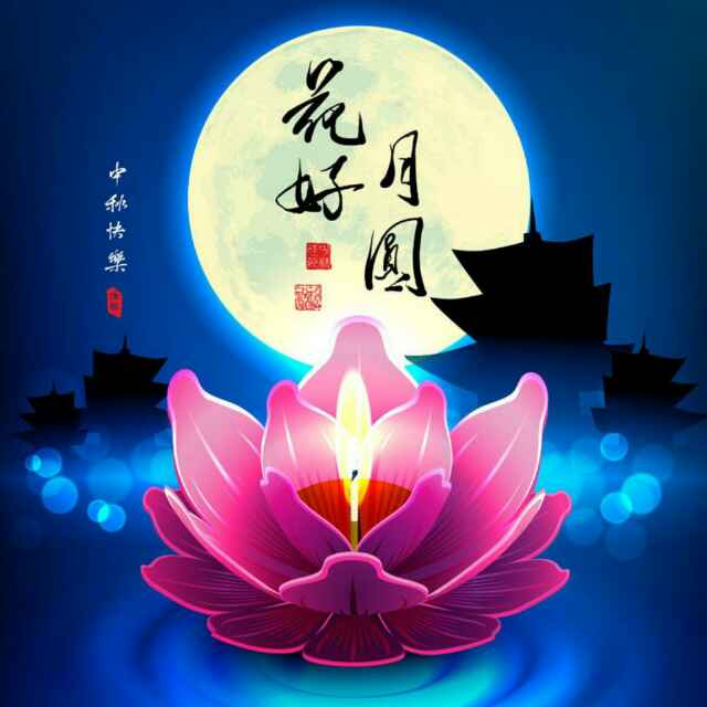 花开月圆，隐现坚韧之姿—花容月貌背后的动物寓言