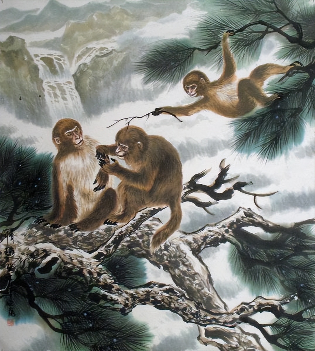 高山流水打一个生肖猜一生肖,采民作答落实解释 高山流水打一个生肖猜一生肖,采民作答落实解释