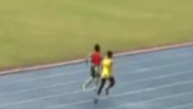 抛砖引玉是哪个生肖，积极解释落实