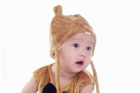 蛛丝马迹猜一最佳生肖，全面揭晓解释落实