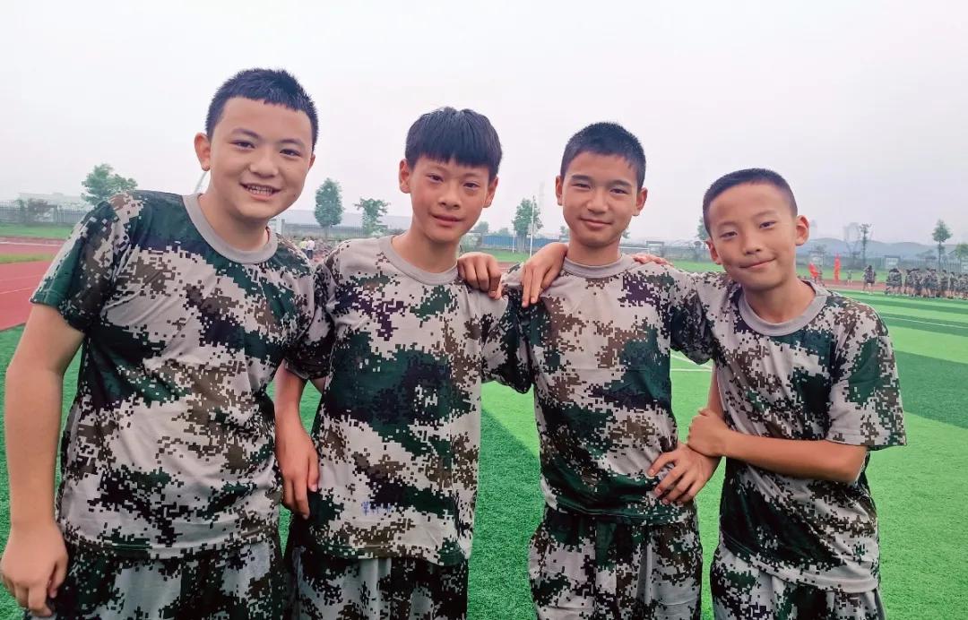 雏鹰展翅，生肖之谜与非凡解释的落实