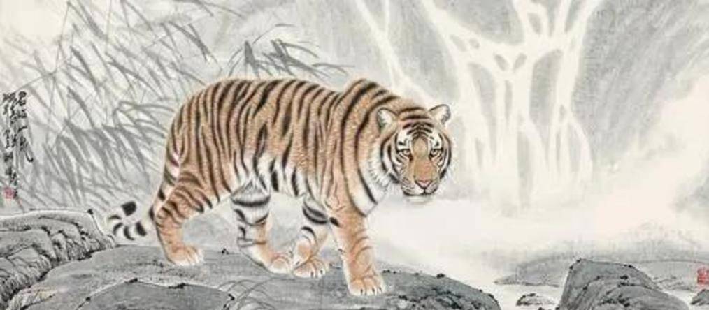 一泻千里指的是什么生肖，背后的智慧与策略