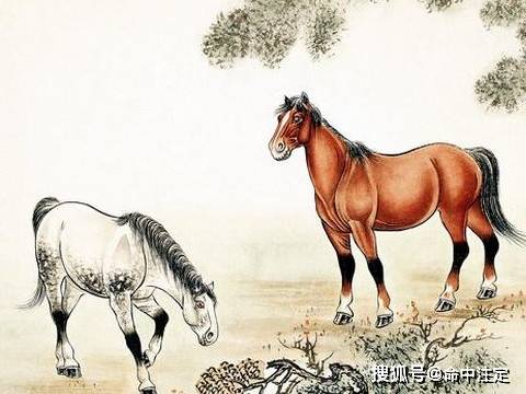 经久不息是什么生肖，精选解析与落实的详细结果