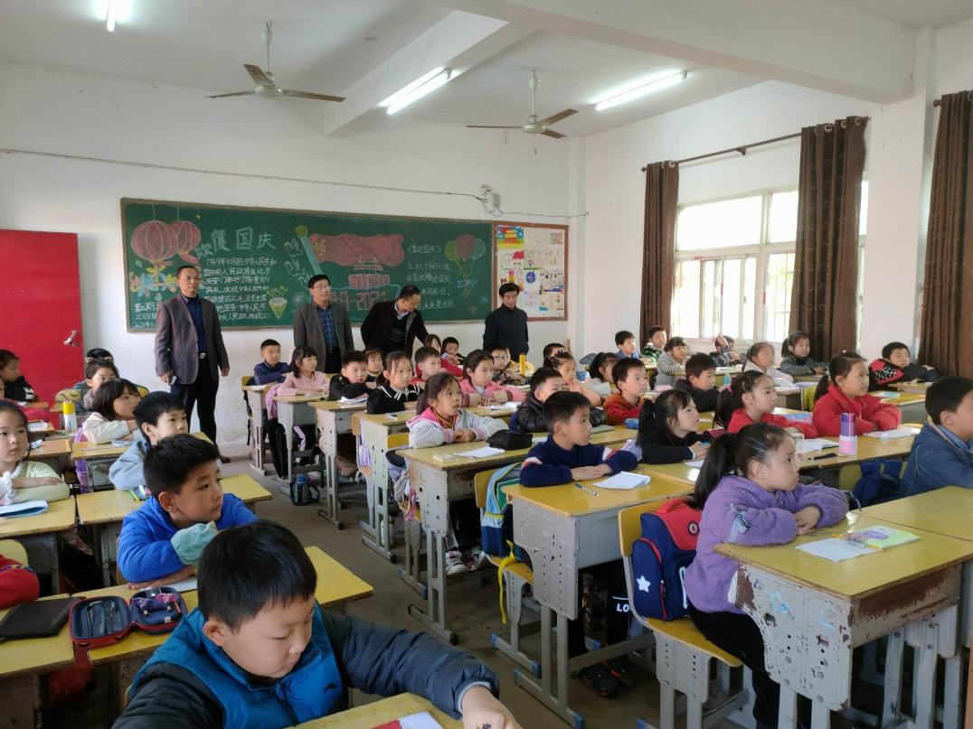 猪的六个合生肖，全面解析与文化落实