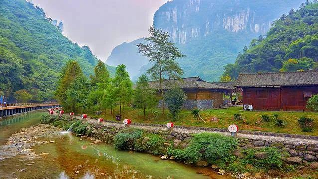 桃李争艳，揭秘生肖之谜