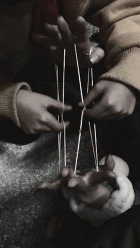 丢眉丢眼猜一动物—传统游戏中的智慧与乐趣