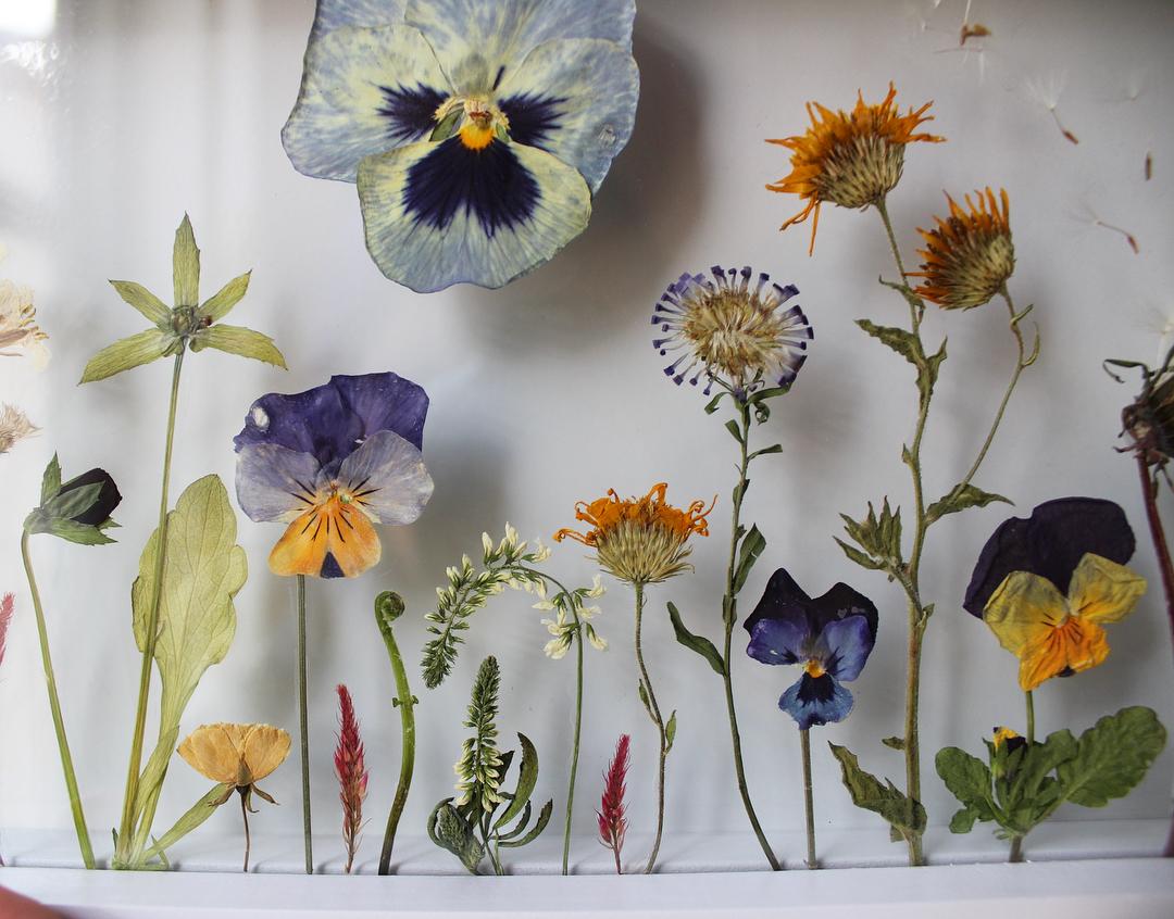 简单的艺术，深邃的智慧 十二生肖剪纸中的动物智慧与战略运用