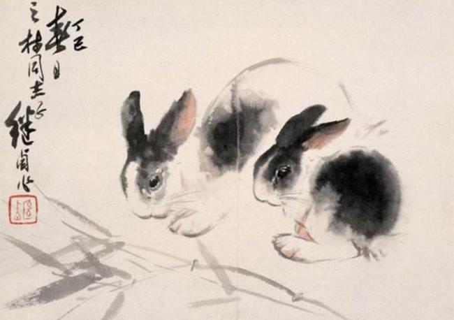 怀才不遇什么生肖，深度解析与文化寓意