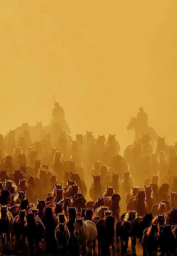 千军万马是指什么生肖,之谜与人生哲理的深度解析 千军万马是指什么生肖,之谜与人生哲理的深度解析