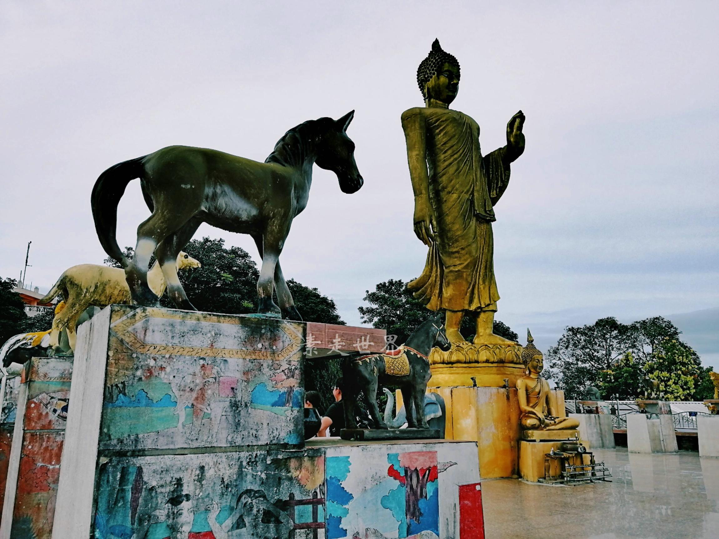 一条狗两边跑打一生肖，友爱作答落实解释