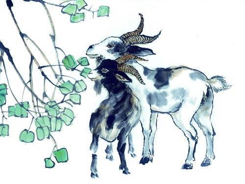 一帆风顺是什么生肖，深度解析与落实