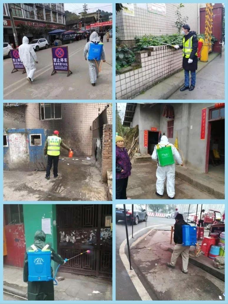 君子之交接如水代表是指什么生肖，重点诠释解释落实