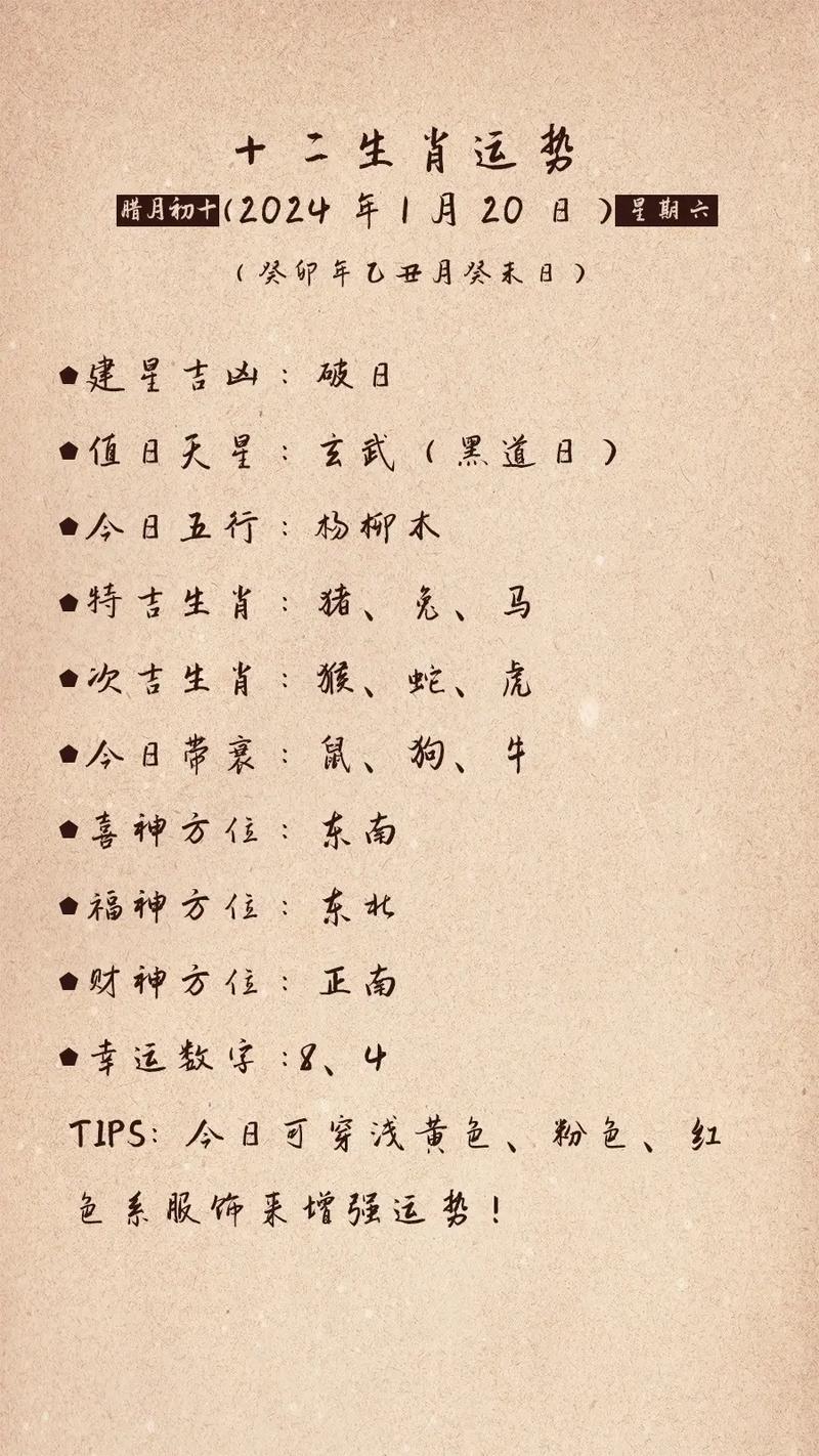 2024年最新12生肖号码解析与运用指南