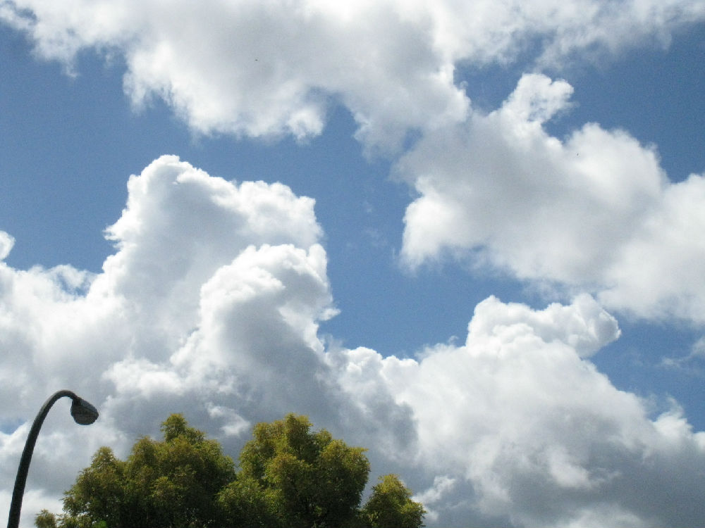 浮云游子日落西，生肖之谜的深层解读与人生启示