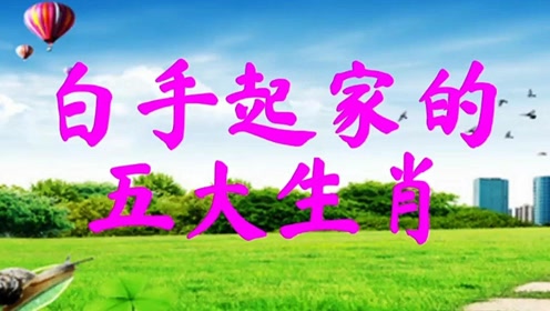 白手起家打一生肖，绝佳解释落实