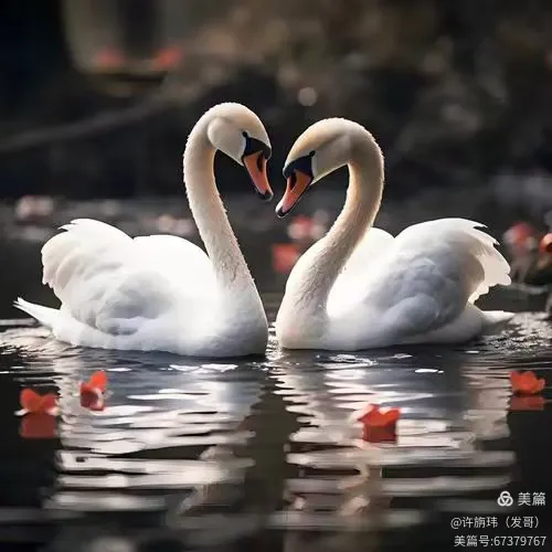 白首无成猜一动物，谜底即将揭晓