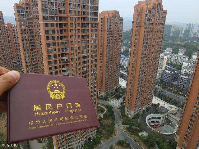 贪婪成性是什么生肖，结论作答落实解释