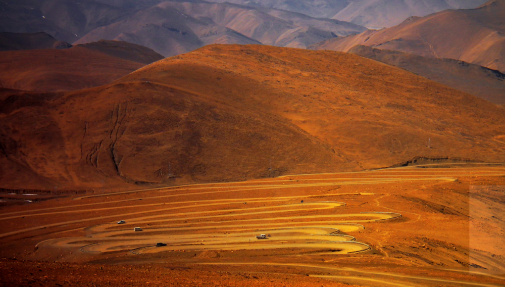 软弱无力猜一生肖，背后的坚韧与不屈