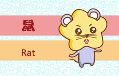 生肖鼠与哪些生肖相冲，最快解答与深度解析