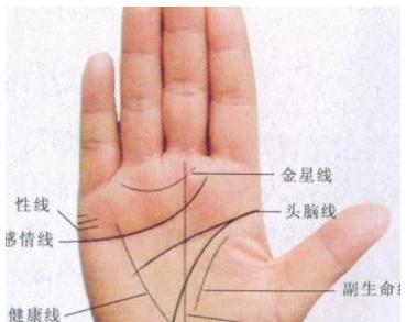 三大生肖的命运轨迹，贫穷一时，富贵一生—理想与现实的交织