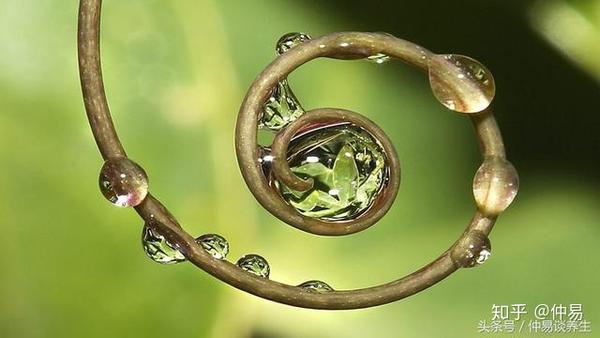 孤魂野鬼与生肖之谜，探寻生命哲理的幽微之处