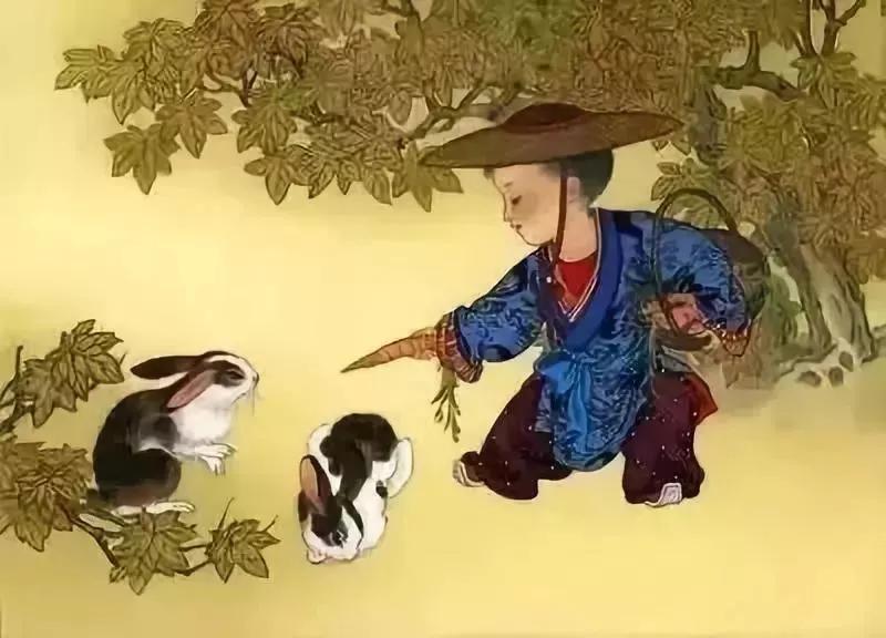 卯时属什么生肖，绝佳解释落实