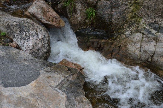 山穷水尽疑无路，揭秘生肖谜题与热议背后的落实之道