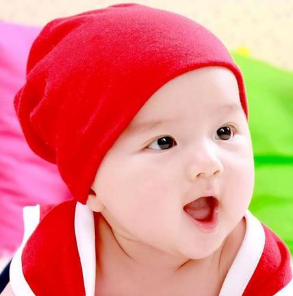 一脉相承是什么生肖，背后的坚韧与不屈