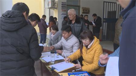 红娘属什么生肖，积极作答，落实解释