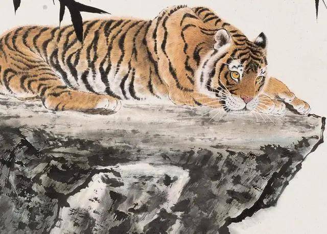 老虎的三合生肖，绝佳解释落实