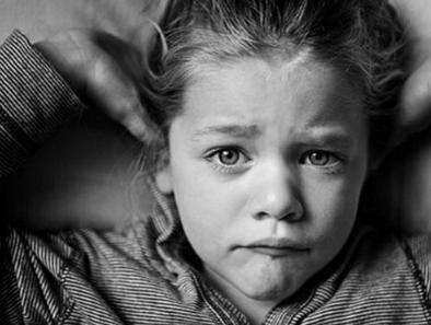 揭秘各霸一方背后的动物世界，一场自然法则的精彩演绎