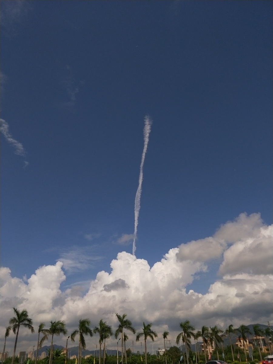 天字出头，一飞冲天—揭秘生肖之谜