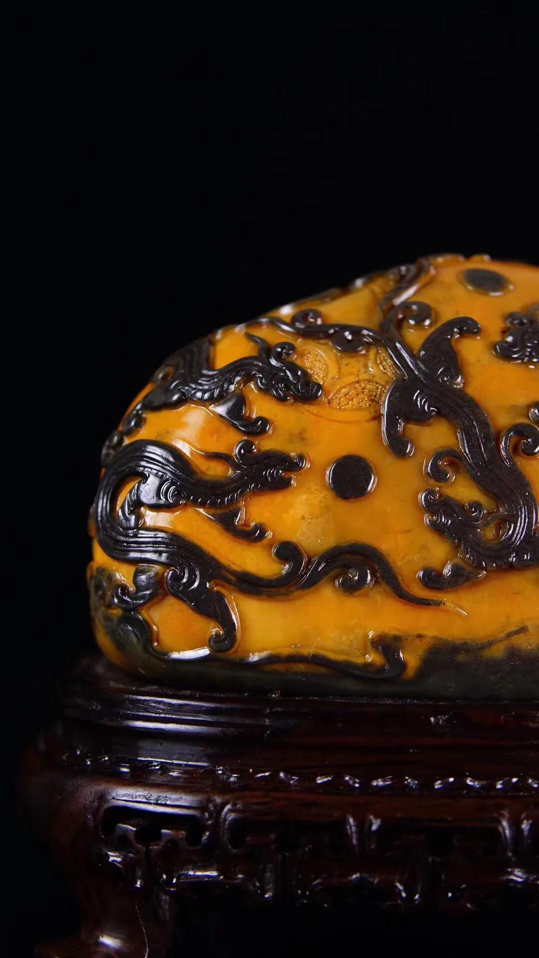 乌鸦，生肖中的智者，坚韧与不屈的象征