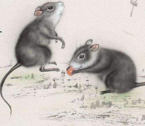 心细如尘，揭秘生肖中谁最擅长细致入微的观察与思考