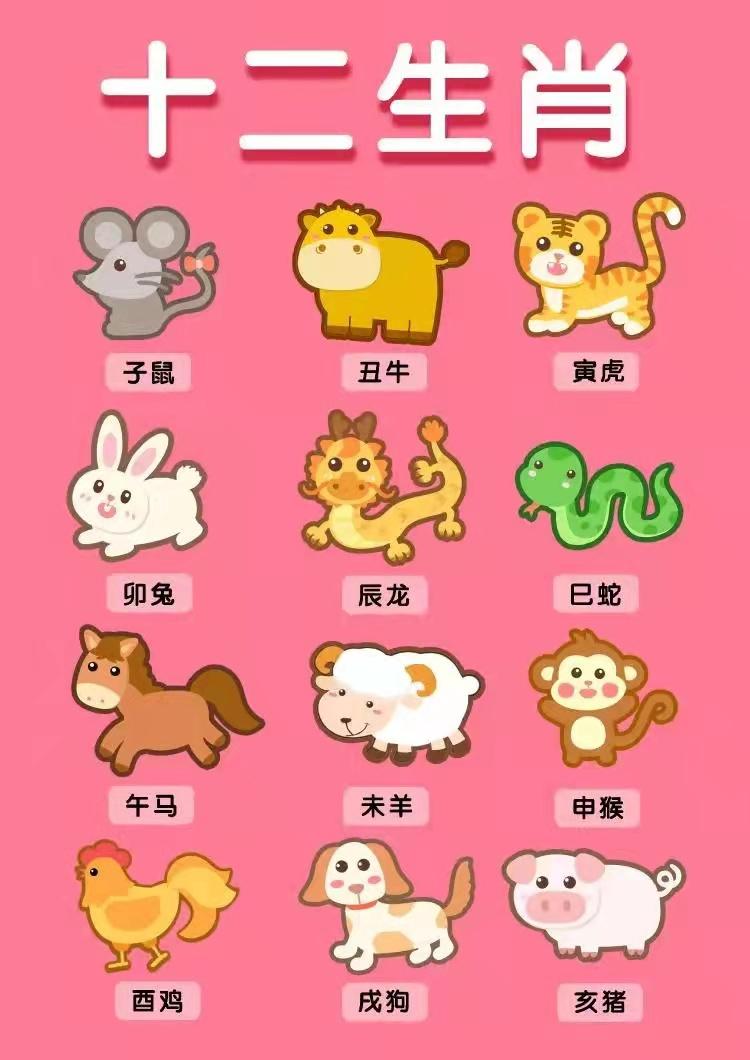 女孩属什么生肖最好，谜底即将揭晓