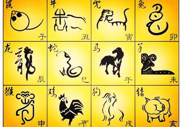 揭秘不劳而获的生肖，全面解析与现实启示