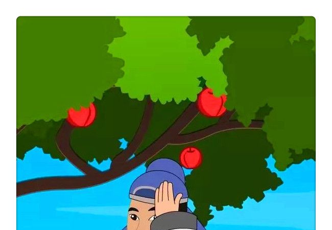 瓜田李下的生肖奥秘，一场关于智慧与谨慎的探索