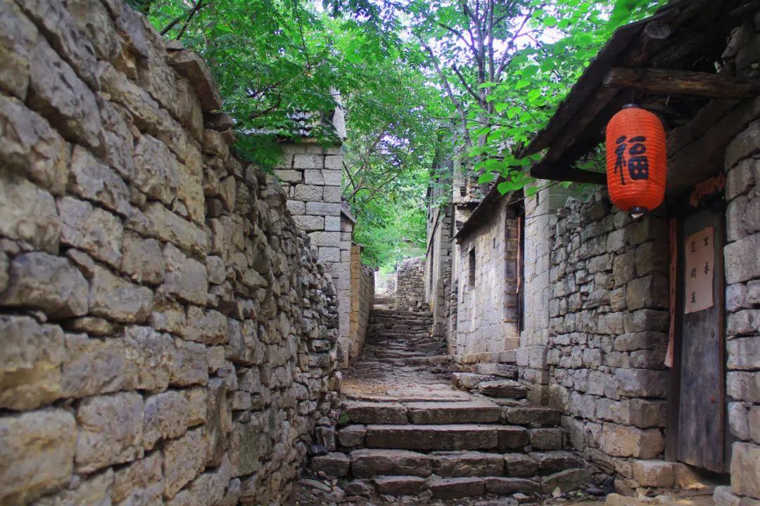 揭秘红口白牙的生肖动物，探寻背后的文化与智慧