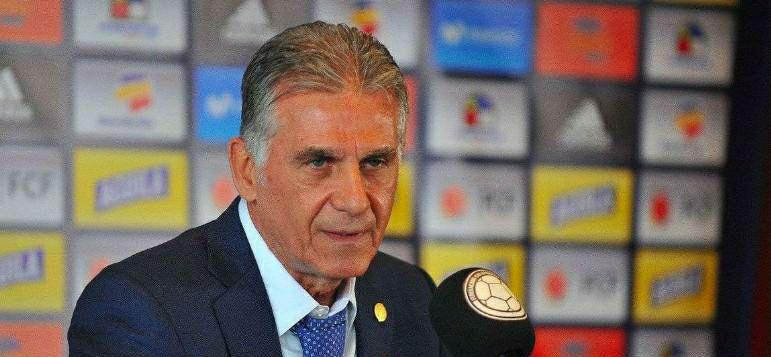 揭秘自相惊扰背后的动物智慧,网络解释的落实与启示 揭秘自相惊扰背后的动物智慧,网络解释的落实与启示