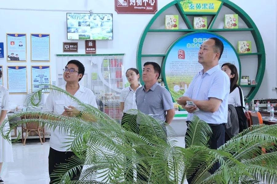 从黄花女儿到智慧之鹰,一次关于转变的深刻启示 从黄花女儿到智慧之鹰,一次关于转变的深刻启示